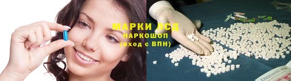 крисы Арсеньев